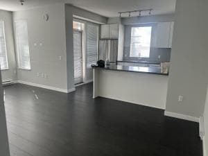 Polygon Stanton house 콘도 렌트 합니다 썸네일